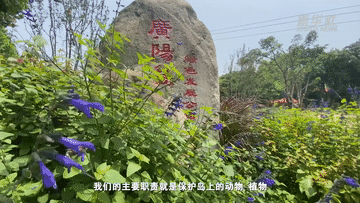 
南京眼科医院黄牛代挂号电话票贩子号贩子网上预约挂号,住院检查加快,望长江｜重庆：广阳岛的美丽蝶变