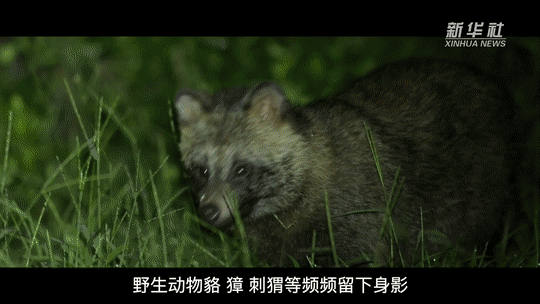 
杭州各大医院黄牛代挂号电话票贩子号贩子网上预约挂号,住院检查加快,新时代中国调研行·长江篇｜从青海到上海，他们共护一江水