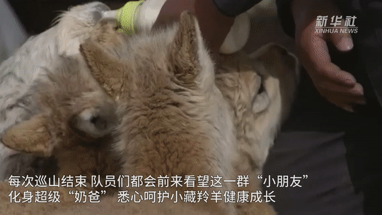 
杭州各大医院黄牛代挂号电话票贩子号贩子网上预约挂号,住院检查加快,新时代中国调研行·长江篇｜从青海到上海，他们共护一江水