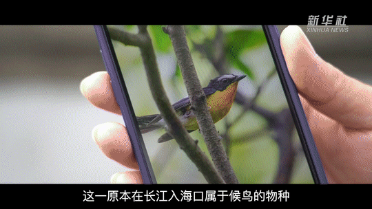
杭州各大医院黄牛代挂号电话票贩子号贩子网上预约挂号,住院检查加快,新时代中国调研行·长江篇｜从青海到上海，他们共护一江水