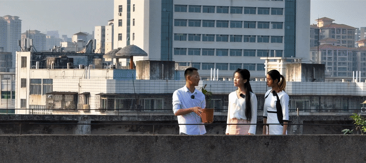 
南京中科研究所黄牛代挂号电话票贩子号贩子网上预约挂号,住院检查加快,感知生态中国｜守护红树林