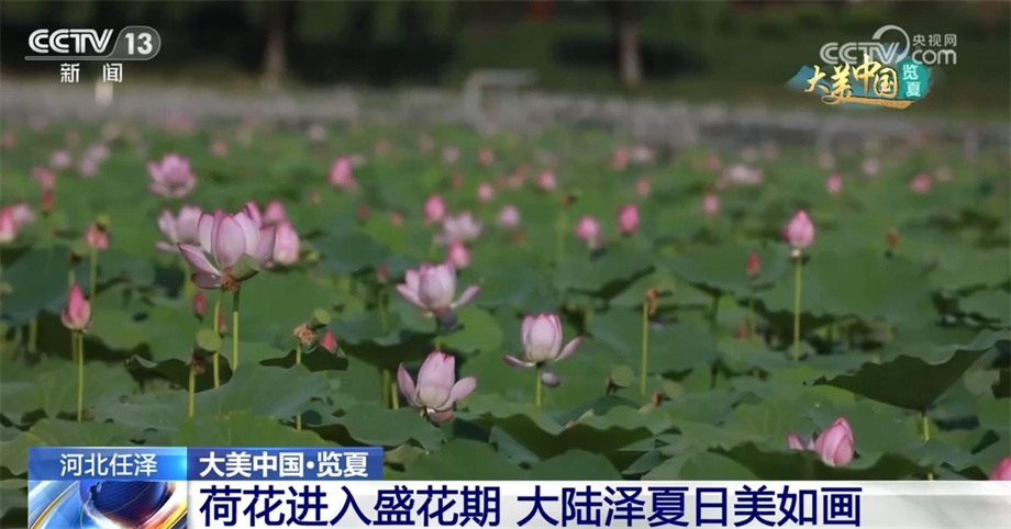 
首都医科大学附属阜外医院黄牛代挂号电话票贩子号贩子网上预约挂号,住院检查加快,盛夏时节 祖国大江南北风光壮美、生机勃勃