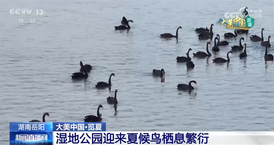 
首都医科大学附属阜外医院黄牛代挂号电话票贩子号贩子网上预约挂号,住院检查加快,盛夏时节 祖国大江南北风光壮美、生机勃勃
