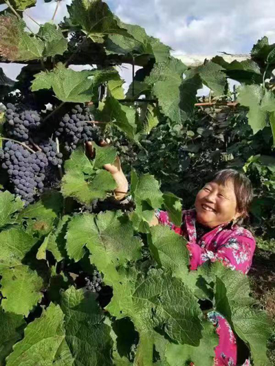 
广州市妇女儿童医疗中心黄牛代挂号电话票贩子号贩子网上预约挂号,住院检查加快,【大国新村：沿着总书记的足迹】内蒙古赤峰：党建引领，产业花开