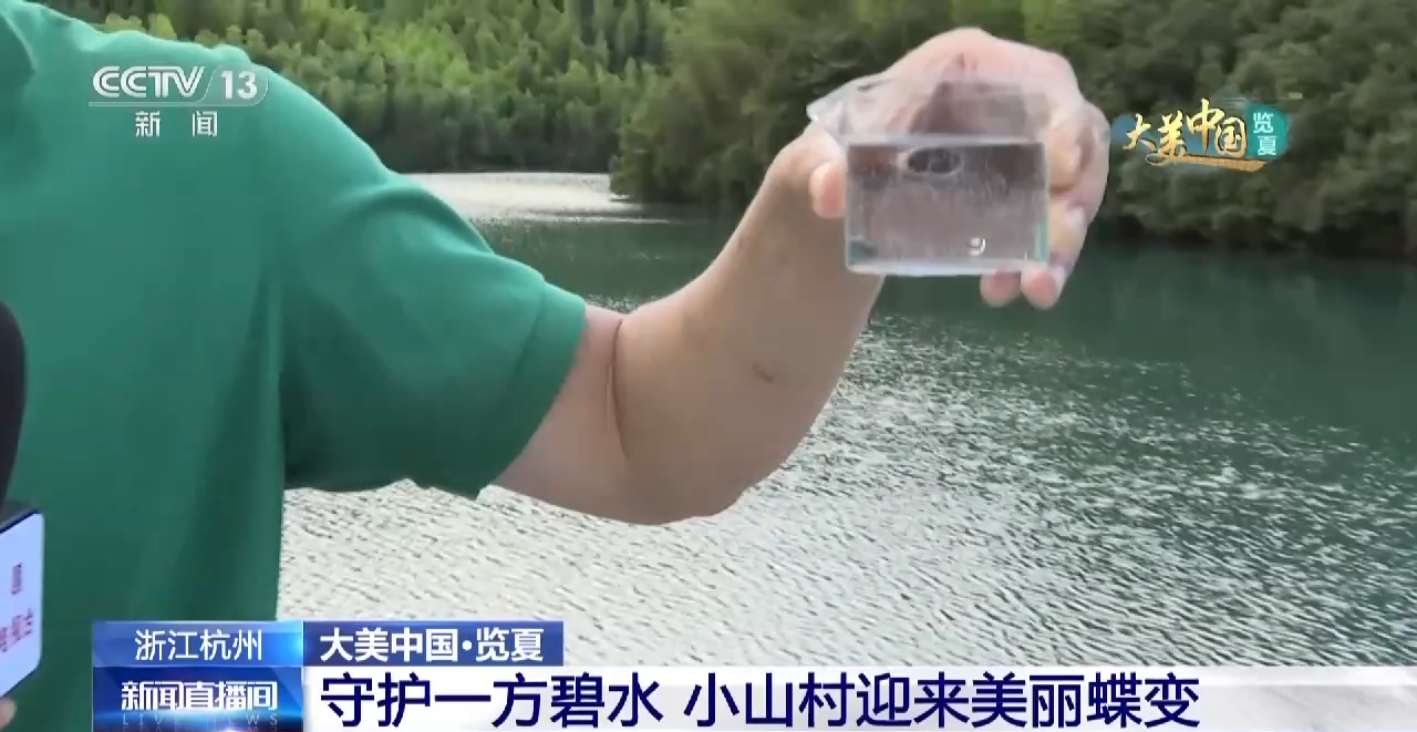 
杭州市妇幼保健院黄牛代挂号电话票贩子号贩子网上预约挂号,住院检查加快,这个村庄用一处“水库”起步 打造出人气生态艺术村落