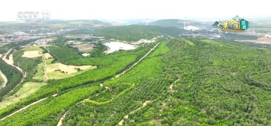 
浙江大学邵逸夫医院黄牛代挂号电话票贩子号贩子网上预约挂号,住院检查加快,透过镜头看大美中国 大江南北生机盎然