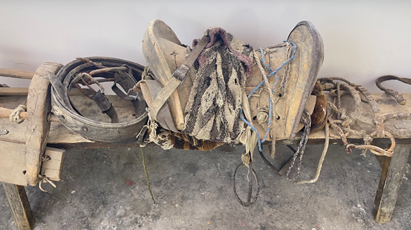 
沈阳各大医院黄牛代挂号电话票贩子号贩子网上预约挂号,住院检查加快,我们的家园｜走近四川阿坝五里村