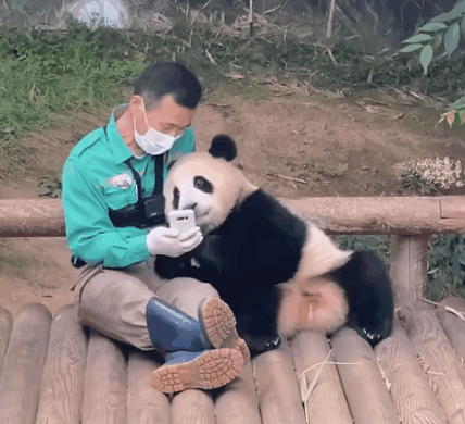 
北京协和医院黄牛代挂号电话票贩子号贩子网上预约挂号,住院检查加快,在韩国当“顶流”的中国宝贝，生日快乐！
