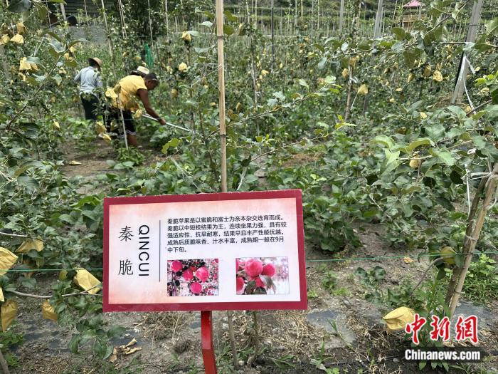 
浙江省同德医院黄牛代挂号电话票贩子号贩子网上预约挂号,住院检查加快,我们的家园·阿坝70年｜一个昔日深度贫困县的致富密码