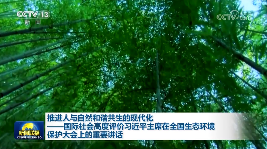 
南京各大医院黄牛代挂号电话票贩子号贩子网上预约挂号,住院检查加快,推进人与自然和谐共生的现代化——国际社会高度评价习近平主席在全国生态环境保护大会上的重要讲话