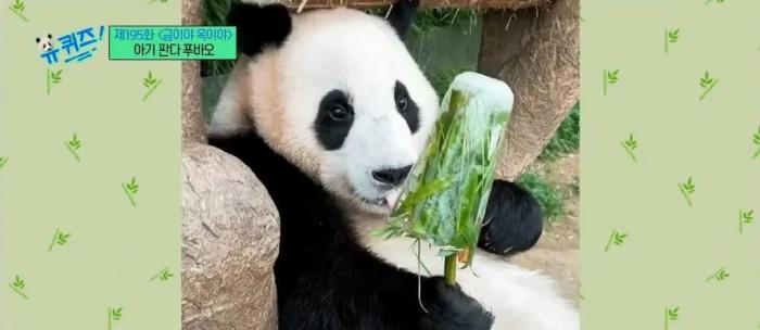 
北京协和医院黄牛代挂号电话票贩子号贩子网上预约挂号,住院检查加快,在韩国当“顶流”的中国宝贝，生日快乐！