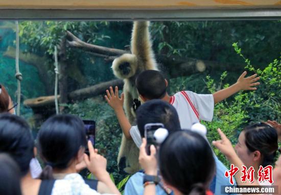 
沈阳各大医院黄牛代挂号电话票贩子号贩子网上预约挂号,住院检查加快,成都动物园推出20款大运会动物IP形象