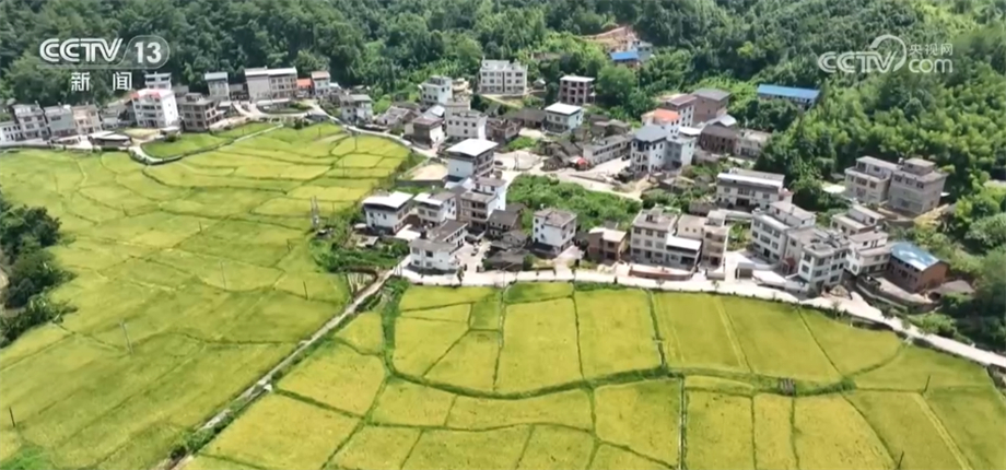 
南京市第一医院黄牛代挂号电话票贩子号贩子网上预约挂号,住院检查加快,早稻收割抓紧开展 多项举措稳面积、促增产、提效率