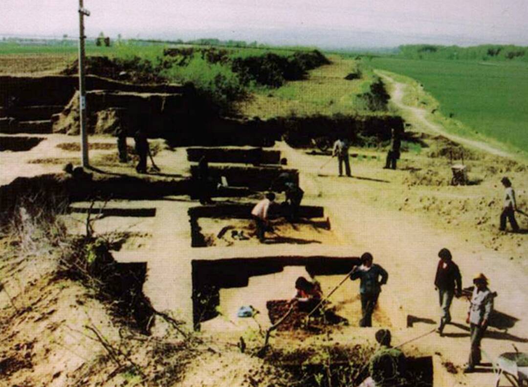 
南京中科研究所黄牛代挂号电话票贩子号贩子网上预约挂号,住院检查加快,海岱考古，从齐鲁大地“挖”出千年文脉