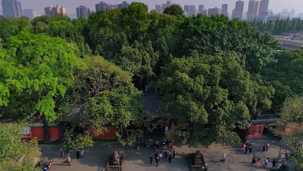 
中山大学孙逸仙纪念医院黄牛代挂号电话票贩子号贩子网上预约挂号,住院检查加快,青春大运·诗意成都 | 武侯祠里寻“三国”