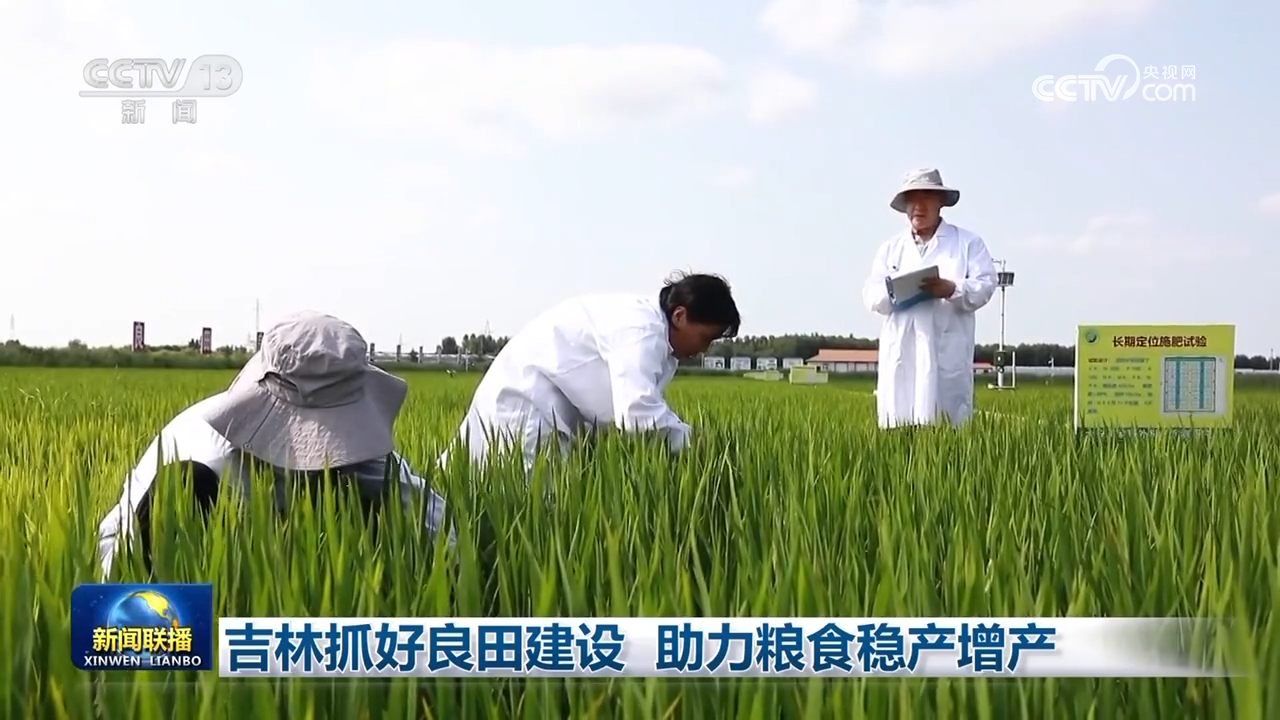 
北京同仁医院黄牛代挂号电话票贩子号贩子网上预约挂号,住院检查加快,吉林抓好良田建设 助力粮食稳产增产