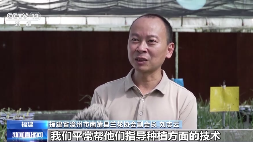 
广州中山一院黄牛代挂号电话票贩子号贩子网上预约挂号,住院检查加快,从“方寸地”到“聚宝盆” 小小庭院潜力有多大？