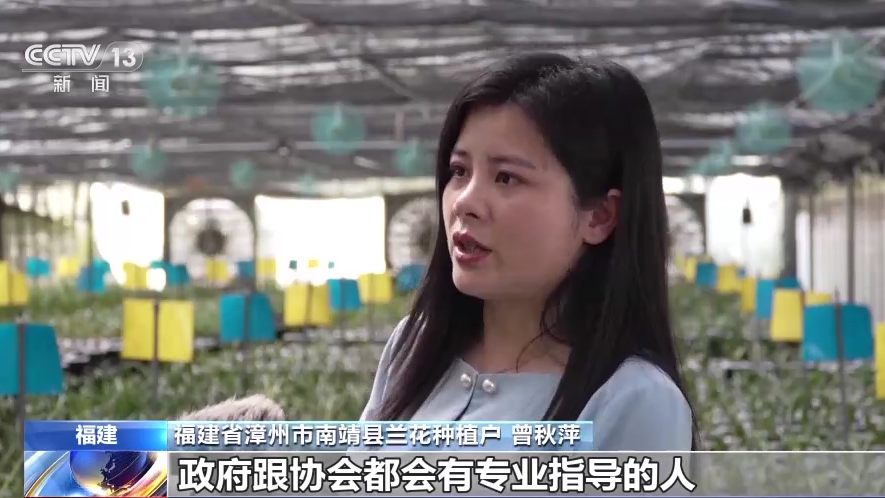 
广州中山一院黄牛代挂号电话票贩子号贩子网上预约挂号,住院检查加快,从“方寸地”到“聚宝盆” 小小庭院潜力有多大？