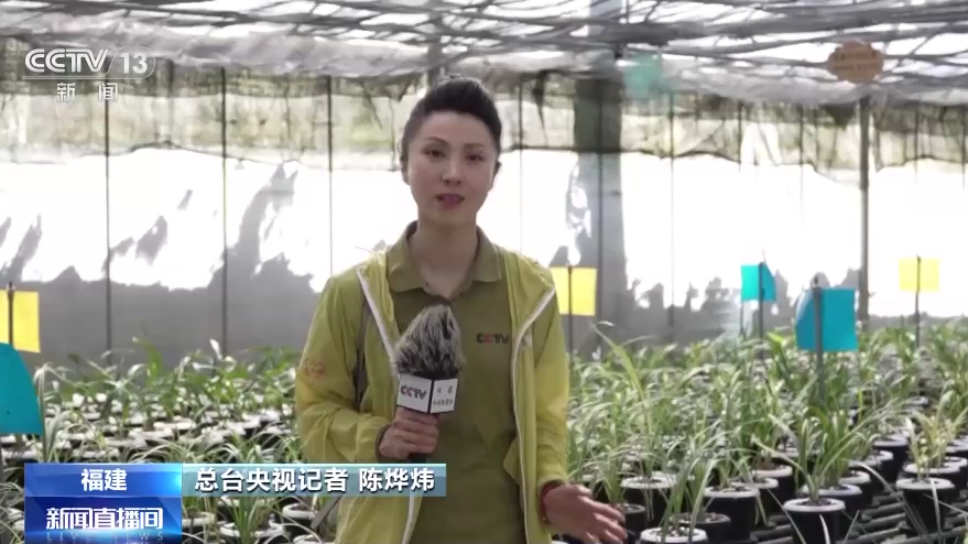 
广州中山一院黄牛代挂号电话票贩子号贩子网上预约挂号,住院检查加快,从“方寸地”到“聚宝盆” 小小庭院潜力有多大？