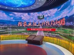 
上海精神卫生中心黄牛代挂号电话票贩子号贩子网上预约挂号,住院检查加快,高质量发展调研行|山东省农科院：立足“吃得饱” 瞄准“吃得好”