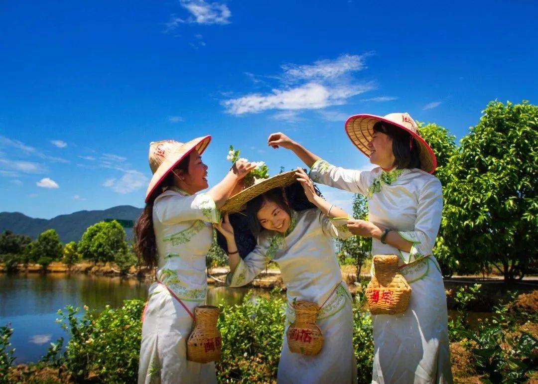 
北京301医院黄牛代挂号电话票贩子号贩子网上预约挂号,住院检查加快,闽人智慧丨福建的这项世界非遗，称得上“人间第一香”