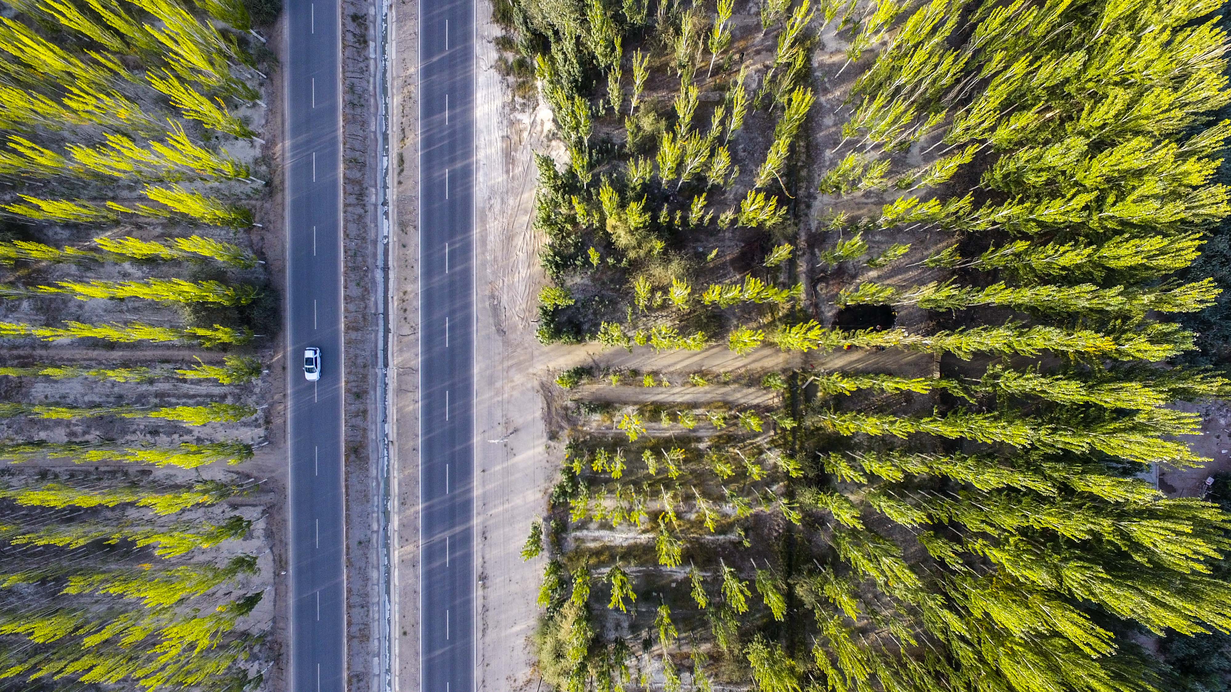 
广州儿童医院黄牛代挂号电话票贩子号贩子网上预约挂号,住院检查加快,缔造“荒漠变绿”奇迹→按照中国方式
