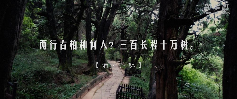 
杭州市七医院黄牛代挂号电话票贩子号贩子网上预约挂号,住院检查加快,跟着总书记的考察足迹｜蜀道：见证中国人的奋进与执着