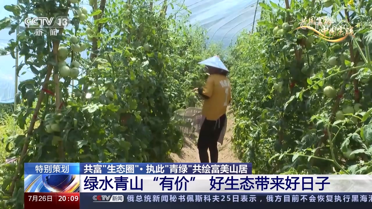 
北医六院黄牛代挂号电话票贩子号贩子网上预约挂号,住院检查加快,中国式现代化｜执此“青绿”共绘富美山居