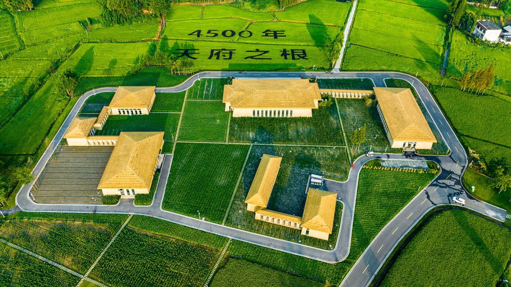 
首都医科大学附属天坛医院黄牛代挂号电话票贩子号贩子网上预约挂号,住院检查加快,“大运之城”面面观|成都新津区：水上“速度与激情”古今传承
