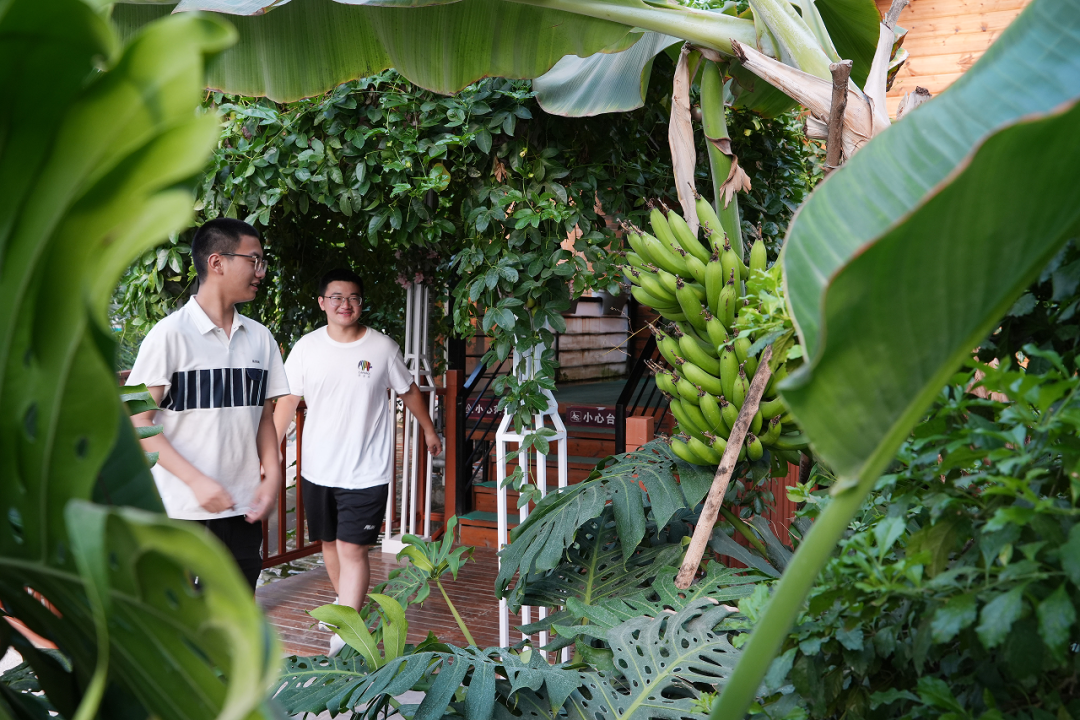 
广州各大医院黄牛代挂号电话票贩子号贩子网上预约挂号,住院检查加快,跟着总书记看中国丨塔元庄村振兴记
