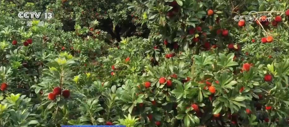 
北医六院黄牛代挂号电话票贩子号贩子网上预约挂号,住院检查加快,快递向服务生产延伸 “铁陆空”支撑让快递“快”到极致
