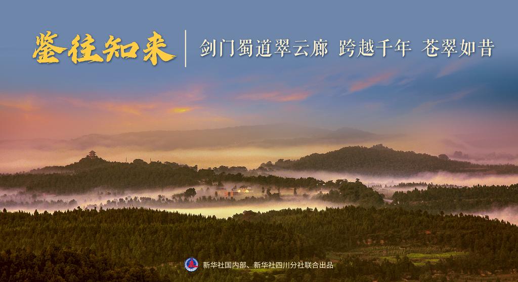 
天津眼科医院黄牛代挂号电话票贩子号贩子网上预约挂号,住院检查加快,鉴往知来｜剑门蜀道翠云廊 跨越千年 苍翠如昔