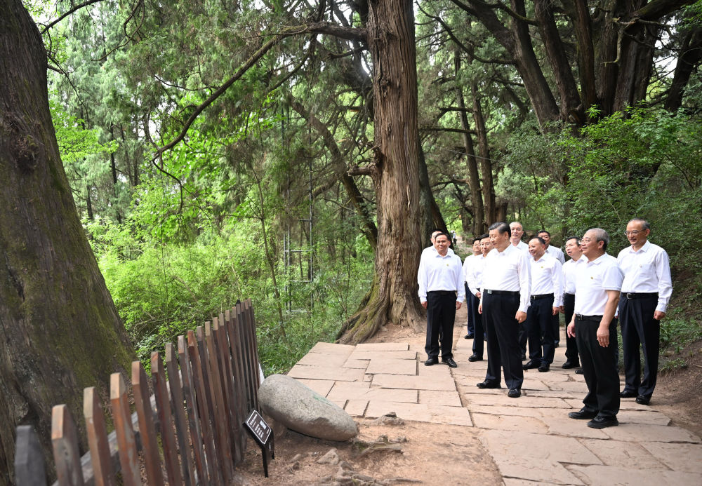 
上海新华医院黄牛代挂号电话票贩子号贩子网上预约挂号,住院检查加快,第1视点丨千年苍翠古蜀道