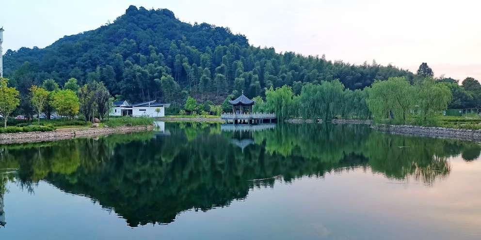 
长沙各大医院黄牛代挂号电话票贩子号贩子网上预约挂号,住院检查加快,【在“浙”里 建设美丽中国】解题农村有机更新，金华武义因村制宜绘就“和美乡村”画卷