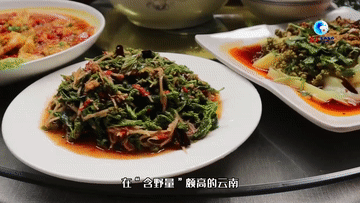 
北京安贞医院黄牛代挂号电话票贩子号贩子网上预约挂号,住院检查加快,全球连线｜“洋记者”看美丽中国：从餐桌上的“陌生”蔬菜看云南生物多样性