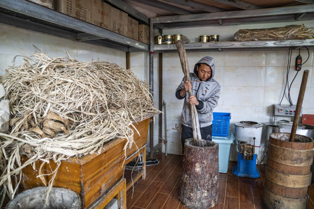 
北大第一医院黄牛代挂号电话票贩子号贩子网上预约挂号,住院检查加快,西藏林芝：搬迁村的藏纸“致富经”