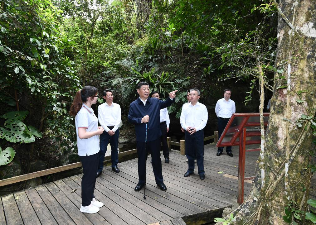 
北京中医药大学东直门医院黄牛代挂号电话票贩子号贩子网上预约挂号,住院检查加快,第一观察·瞬间丨总书记缘何珍视参天大树