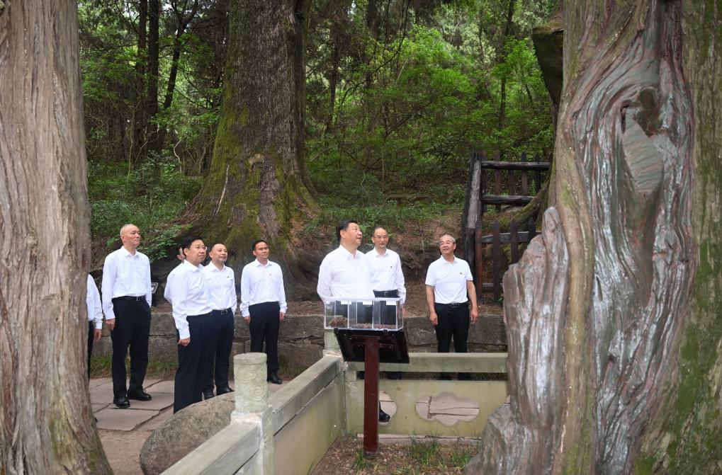 
北京中医药大学东直门医院黄牛代挂号电话票贩子号贩子网上预约挂号,住院检查加快,第一观察·瞬间丨总书记缘何珍视参天大树