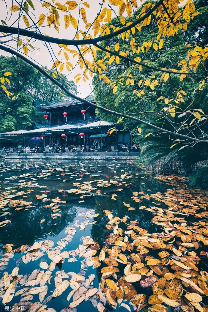 北京协和医院黄牛代挂号电话票贩子号贩子网上预约挂号,住院检查加快,这里是成都！