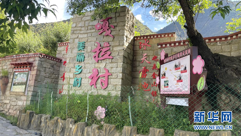 
杭州市妇幼保健院黄牛代挂号电话票贩子号贩子网上预约挂号,住院检查加快,我们的家园·西藏篇|林芝：大力发展生态旅游与特色产业 全面推进乡村振兴