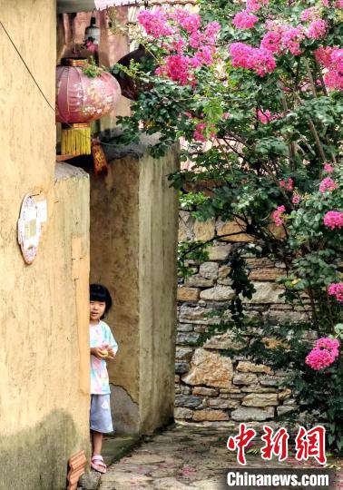 
上海瑞金医院黄牛代挂号电话票贩子号贩子网上预约挂号,住院检查加快,（高质量发展调研行）山东临沂：特色乡村旅游助小山村“华丽转身”