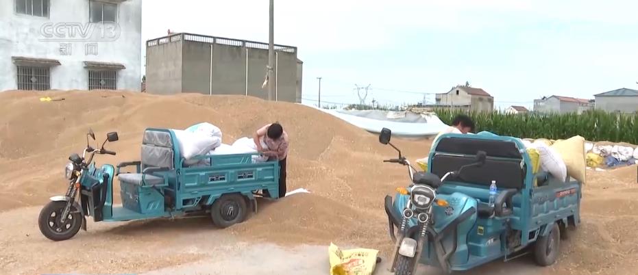 
中山一院黄牛代挂号电话票贩子号贩子网上预约挂号,住院检查加快,给群众吃“定心丸”！政策兜底 分类分级收购受损小麦