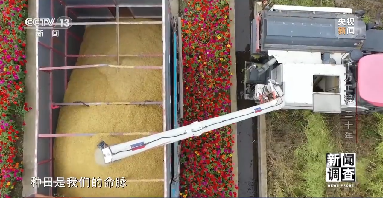 
浙江第一医院黄牛代挂号电话票贩子号贩子网上预约挂号,住院检查加快,新闻调查丨“千万工程”二十年 村子变美了 村民变富了