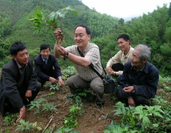 
上海眼耳鼻喉科医院黄牛代挂号电话票贩子号贩子网上预约挂号,住院检查加快,“科特派”的田野和远方