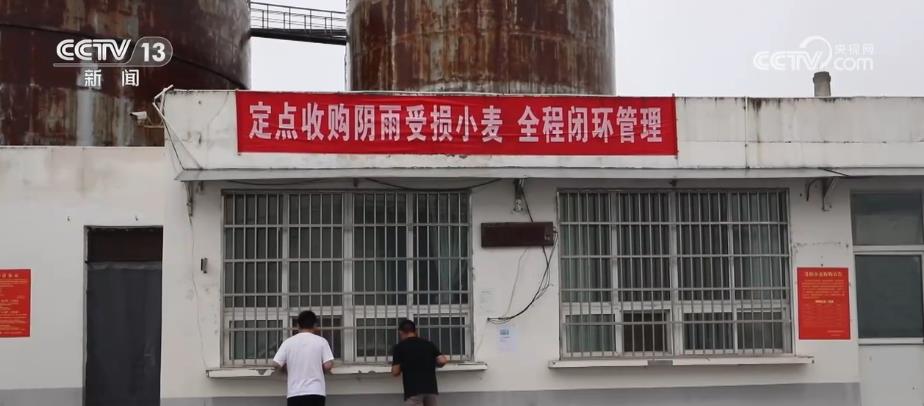 
中山一院黄牛代挂号电话票贩子号贩子网上预约挂号,住院检查加快,给群众吃“定心丸”！政策兜底 分类分级收购受损小麦
