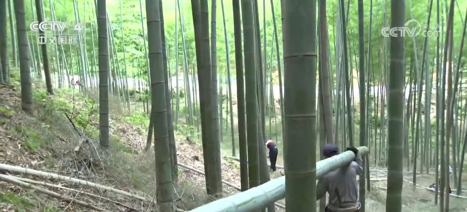 
南京脑科医院黄牛代挂号电话票贩子号贩子网上预约挂号,住院检查加快,中国式现代化 | 在降低碳排放中惠及民生