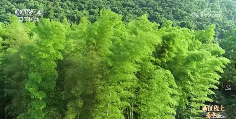 
南京脑科医院黄牛代挂号电话票贩子号贩子网上预约挂号,住院检查加快,中国式现代化 | 在降低碳排放中惠及民生