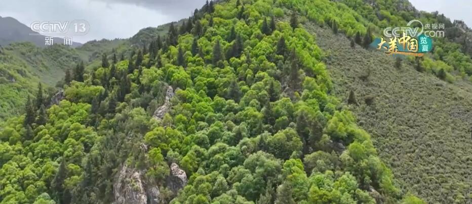 
南京眼科医院黄牛代挂号电话票贩子号贩子网上预约挂号,住院检查加快,冰沟河畔夏意盈盈 绿水青山变成金山银山