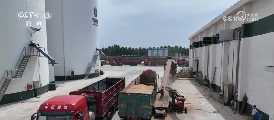 
空军特色医学中心黄牛代挂号电话票贩子号贩子网上预约挂号,住院检查加快,各地持续优化对农服务 加大科技投入守护“大国粮仓”