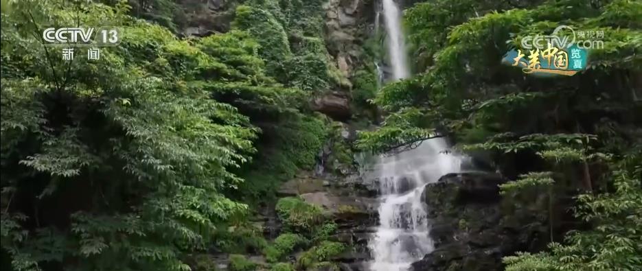 
中山大学孙逸仙纪念医院黄牛代挂号电话票贩子号贩子网上预约挂号,住院检查加快,多种国家珍稀保护树种进入丰果期 为优质树种育种打下基础